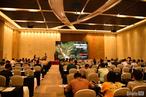 以見(jiàn)聞覓商機(jī) 2023“白鴿行動(dòng)”華北站完美收官，廣告設(shè)計(jì)賦能品牌新視野